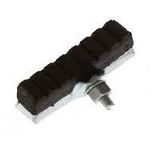 Bisan Papuç Hindistan